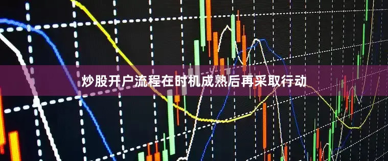炒股开户流程在时机成熟后再采取行动