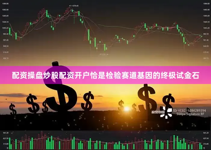 配资操盘炒股配资开户恰是检验赛道基因的终极试金石