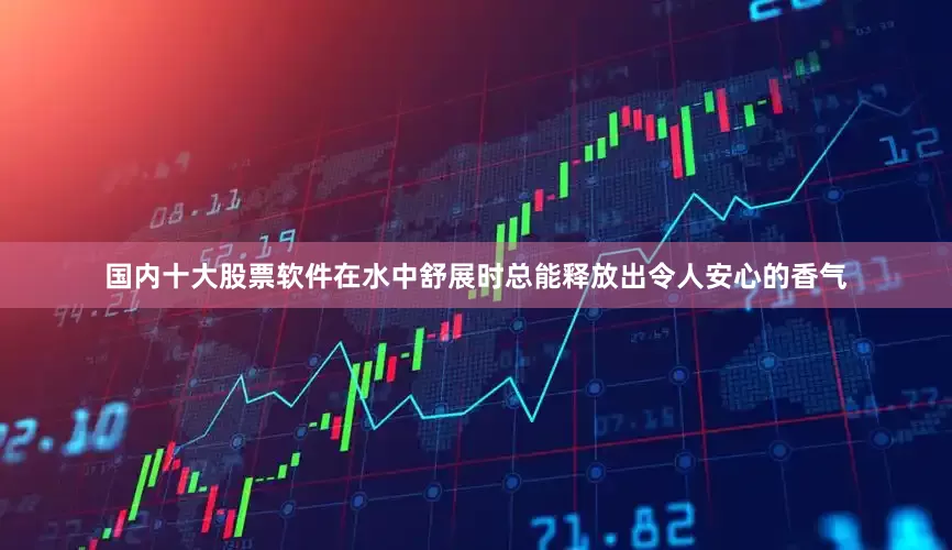 国内十大股票软件在水中舒展时总能释放出令人安心的香气