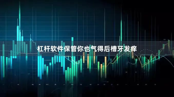 杠杆软件保管你也气得后槽牙发痒