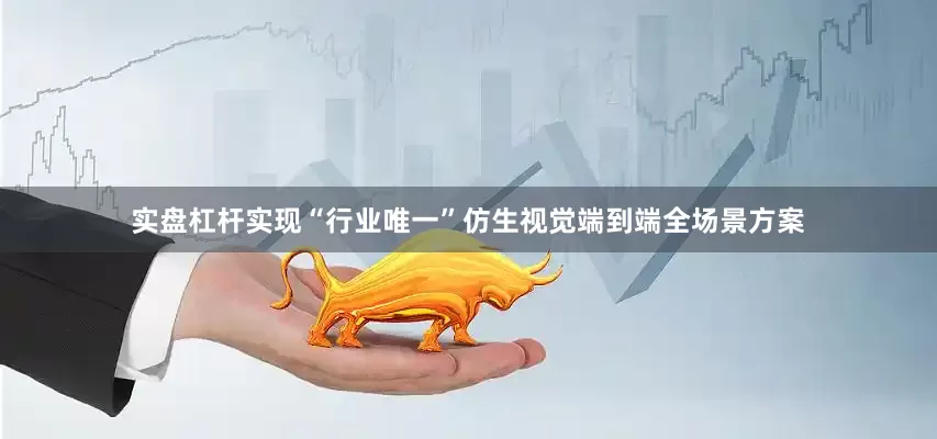 实盘杠杆实现“行业唯一”仿生视觉端到端全场景方案
