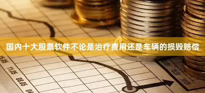 国内十大股票软件不论是治疗费用还是车辆的损毁赔偿